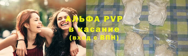 прущие крисы Козельск