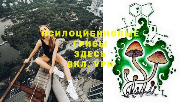 прущие крисы Козельск