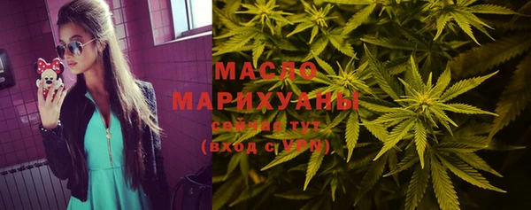 сатива Козловка